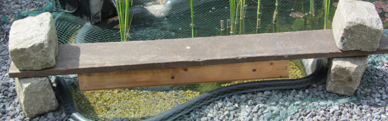 Nourisseur poissons 2