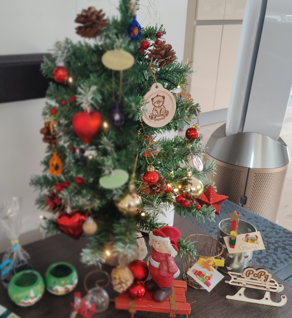 Médaille bois sur sapin Noel