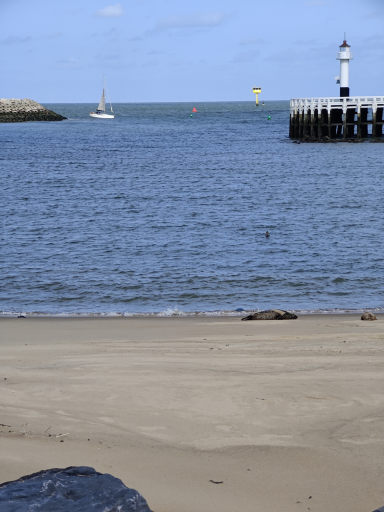 repos-1