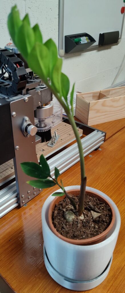 pot plante 5